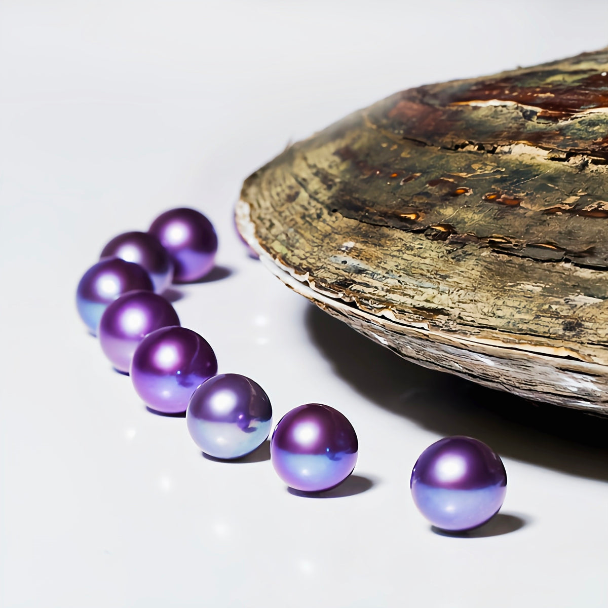 【Live Opening】Edison Single Pearl Oyster (1 Round Pearl) – Custom Jewelry Available